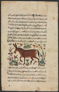 Textseite, persische Prosa Recto, Khar Ass Verso, 1400er von Unbekannt