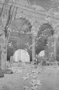 Der Innenhof der Taubenmoschee, 1913 von Unbekannt