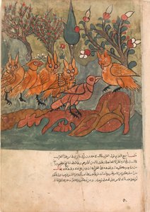 Die Krähe Spion spricht mit dem König der Eulen und seinen Ministern, Folio aus einem Kalila..., 18. Jahrhundert
