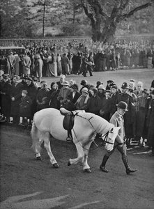 Der leere Sattel: König Georgs weißes Pony, Jock, wird in der Prozession geführt, 1936 von Unbekannt