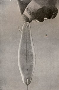 Die erste Glühlampe von Unbekannt