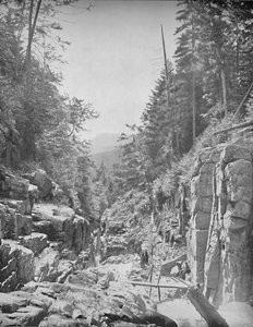 The Flume, Franconia White Mountains, N.H., um 1897