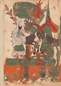 Der Fuchs und die kämpfenden Widder beobachtet vom Asketen, Folio aus einem Kalila wa Dimna, 18. Jahrhundert