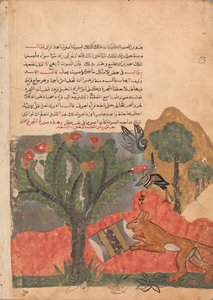 Der Fuchs und die Trommel, Folio aus einem Kalila wa Dimna, 18. Jahrhundert von Unbekannt