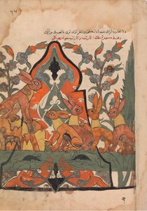 Der König der Hasen im Rat mit seinen Untertanen, Folio aus einem Kalila wa Dimna von Unbekannt