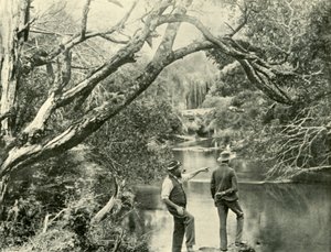 Der Startplatz, Upper Yarra, Victoria, 1901