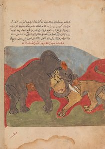 Der Löwe und der Elefant kämpfen, Folio aus einem Kalila wa Dimna, 18. Jahrhundert