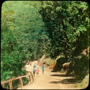 Die Mall Road, Simla, Indien von Unbekannt