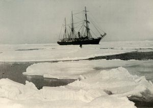 Die Nimrod bahnt sich ihren Weg durch offeneres Packeis, um 1908, 1909