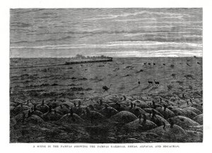 Die Pampas-Eisenbahn, südamerikanische Tiefebenen, 1877 von Unbekannt
