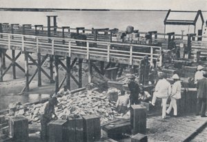 Die Perlenfischerei - Verpackung der Muscheln, 1923