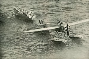 Die Rückkehr der Taube zur Arche, 1919 von Unbekannt