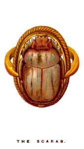 Der Skarabäus, 1923 von Unbekannt