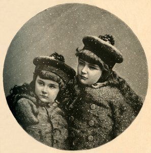 Der Weihnachtsbaum der Schneevögel, 1883