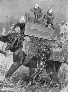 Der Besuch des Prinzen von Wales in Indien, 1876: Der Elefant des Prinzen wird von einem Tiger angegriffen, 1901