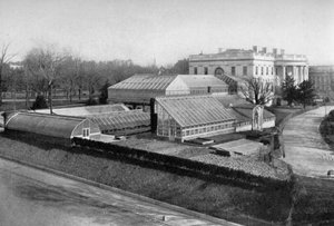 Das Weiße Haus und die Gewächshäuser, Washington DC, USA, 1908 von Unbekannt