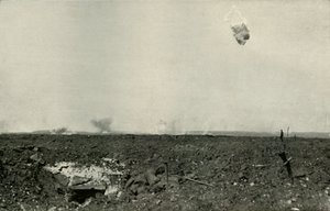 Der Wollbär, 1919
