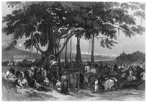 Die Ankunft der Kontingenttruppe der Sikh-Unregelmäßigen Kavallerie, Indien, ca. 1860 von Unbekannt