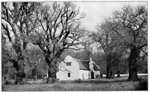 Der Keller im Weingut Vergelegen, Südafrika, 1931 von Unbekannt