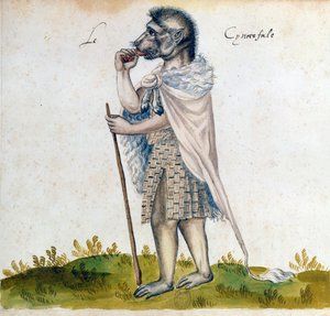 Der Cynoscephalus, 15. Jahrhundert