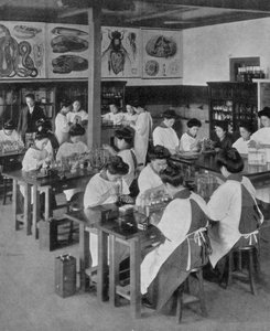 Die höhere Bildung der Frauen in Japan, 1910