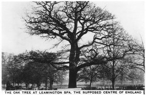 Die Eiche in Leamington Spa, das vermeintliche Zentrum Englands, 1936 von Unbekannt
