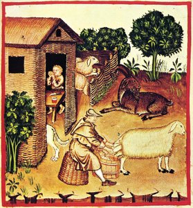 Die Käseherstellung. Eine Miniatur aus Tacuinum Sanitatis, zweite Hälfte des 14. Jahrhunderts