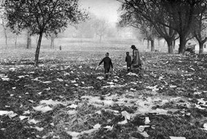 Der Müll auf Hamstead Heath nach einem Feiertag, London von Unbekannt