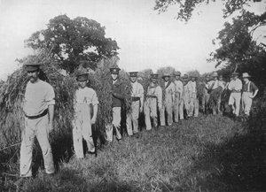 Der Mangel an Landarbeitern: Soldaten helfen bei der Ernte, 1915
