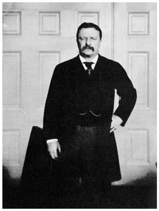 Theodore Roosevelt, 26. Präsident der Vereinigten Staaten von Unbekannt