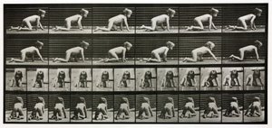 Zeitrafferfotografien eines krabbelnden Kindes von Unbekannt