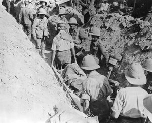 Transport der Verletzten, alliierte Operationen in den Dardanellen, Türkei, 1915-1916