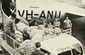 Transport von Preisböcken per Luft, ca. 1948 von Unbekannt