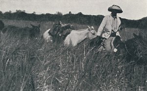 Reisen auf den Pampas, 1916 von Unbekannt