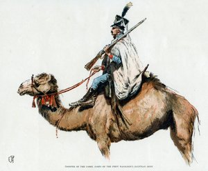 Kavallerist des Kamelkorps der ägyptischen Armee Napoleons I. von Unbekannt