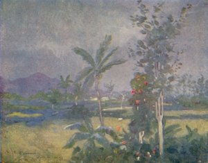 Tropische Regenfälle in Westindien, 1924