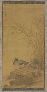 Zwei Enten zwischen Schilf am Wasser, Ming- oder Qing-Dynastie, 15.-18. Jahrhundert von Unbekannt