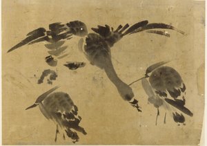 Zwei Reiher und eine Gans
