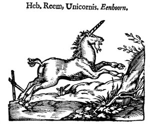 Einhorn