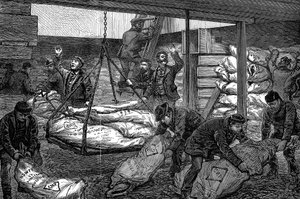 Entladen von gefrorenem Fleisch aus Australien, South West India Dock, Millwall, London, 1881 von Unbekannt