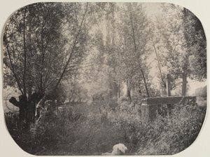 Unbetitelte Landschaft mit Hund, ca. 1910