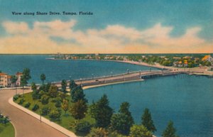 Blick entlang Shore Drive, Tampa, Florida von Unbekannt