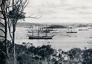Blick auf den Hafen von Sydney von North Shore, Nr. 1, ca. 1900