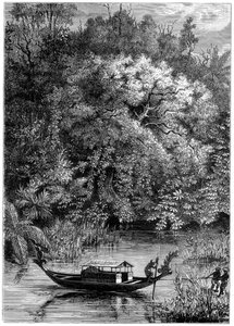 Blick auf den Dodinga-Fluss, Neuguinea, 1877