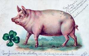 Vintage französische Postkarte, um 1900 von Unbekannt