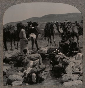 Kamele tränken am Jakobsbrunnen, ca. 1900 von Unbekannt