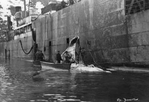 Walfang, Magdalenenbucht, Spitzbergen, Norwegen, 1929 von Unbekannt