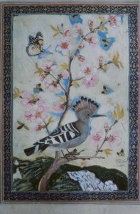 Wiedehopf / indische Miniatur von Unbekannt