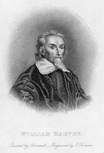 William Harvey, englischer Arzt, 17. Jahrhundert