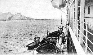 Eine Kuh an Bord eines Bootes vor der Küste Chiles, um 1900er Jahre von Unbekannt